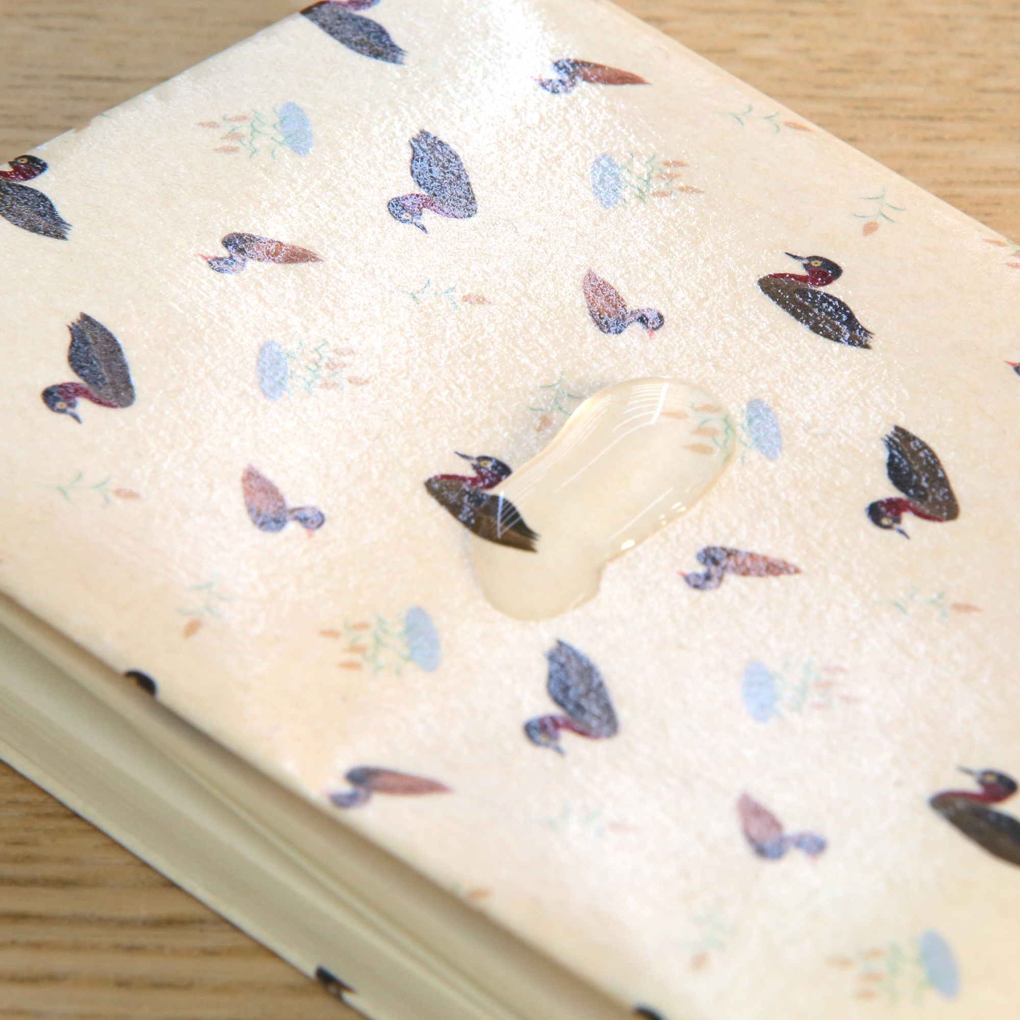 dfdb5d0b72cbfacae25eb3f5978954